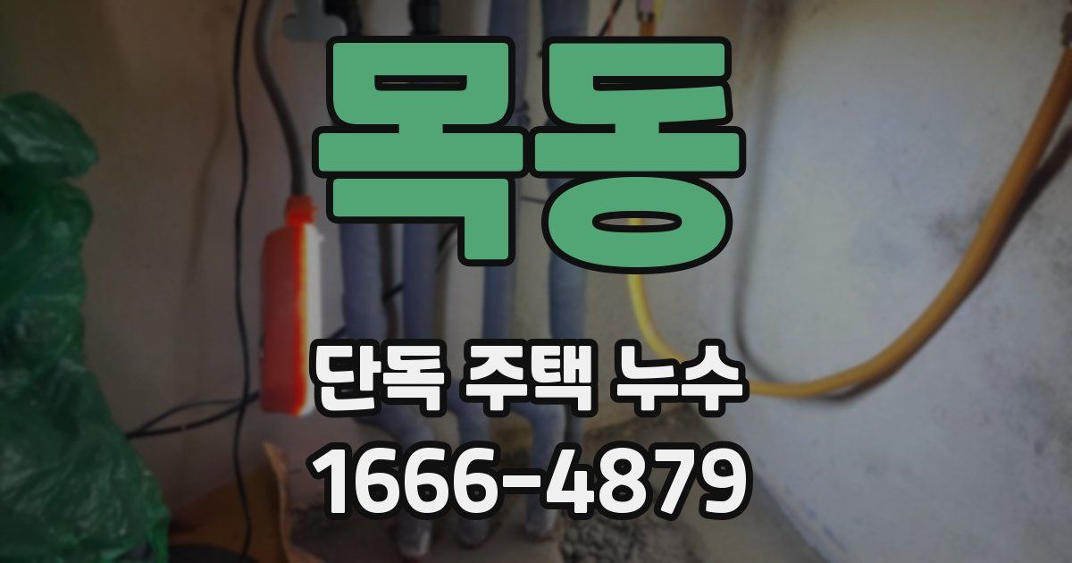 목동 단독 주택 누수