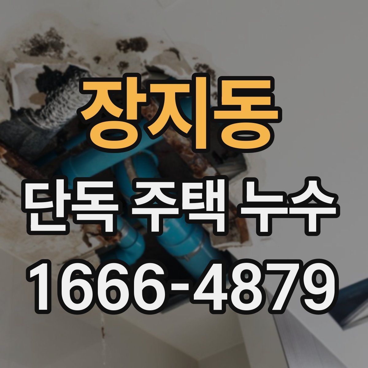 장지동 단독 주택 누수