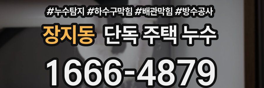 장지동 단독 주택 누수