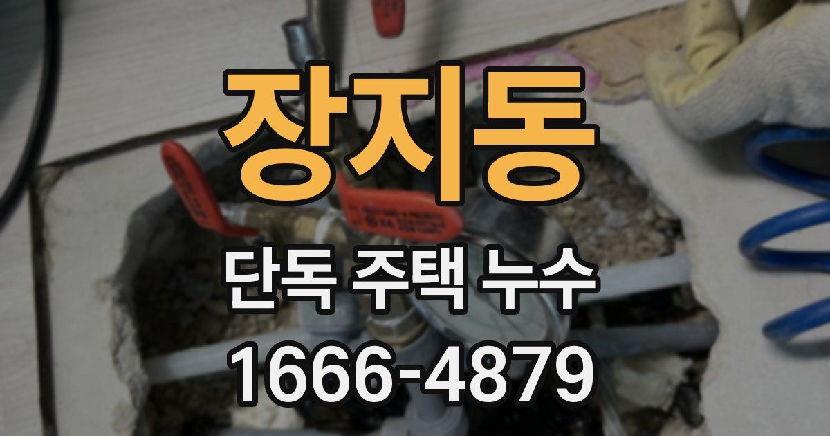 장지동 단독 주택 누수