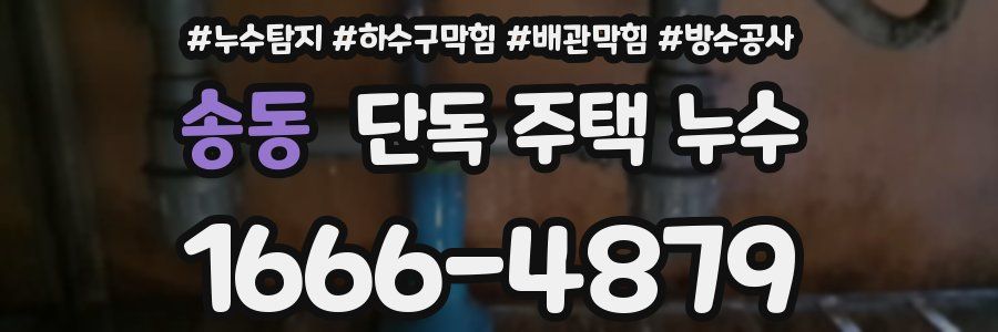 송동 단독 주택 누수