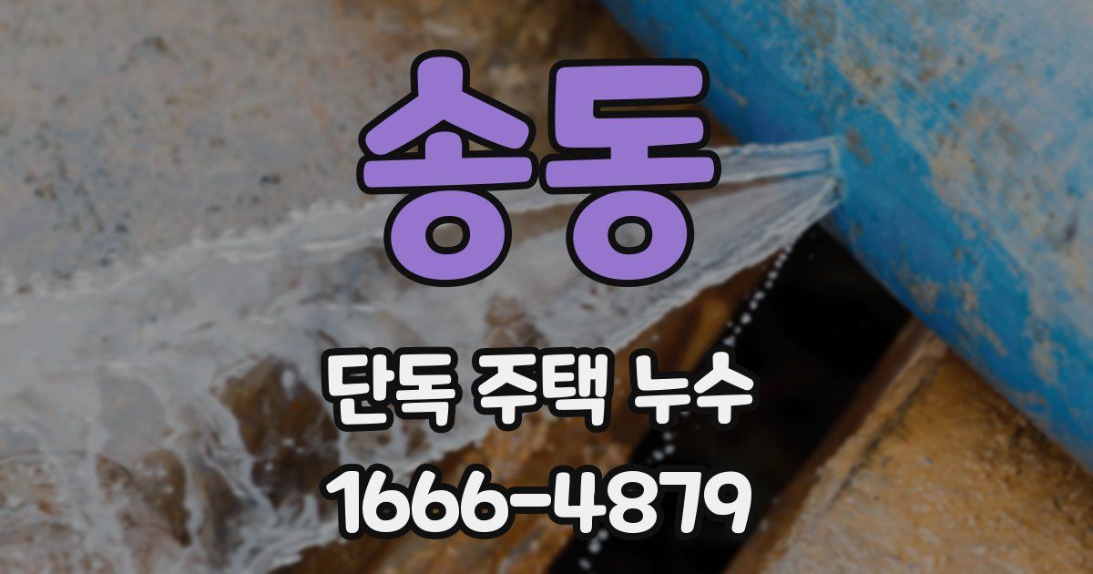 송동 단독 주택 누수