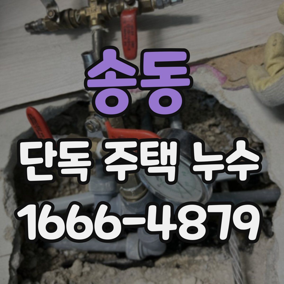 송동 단독 주택 누수
