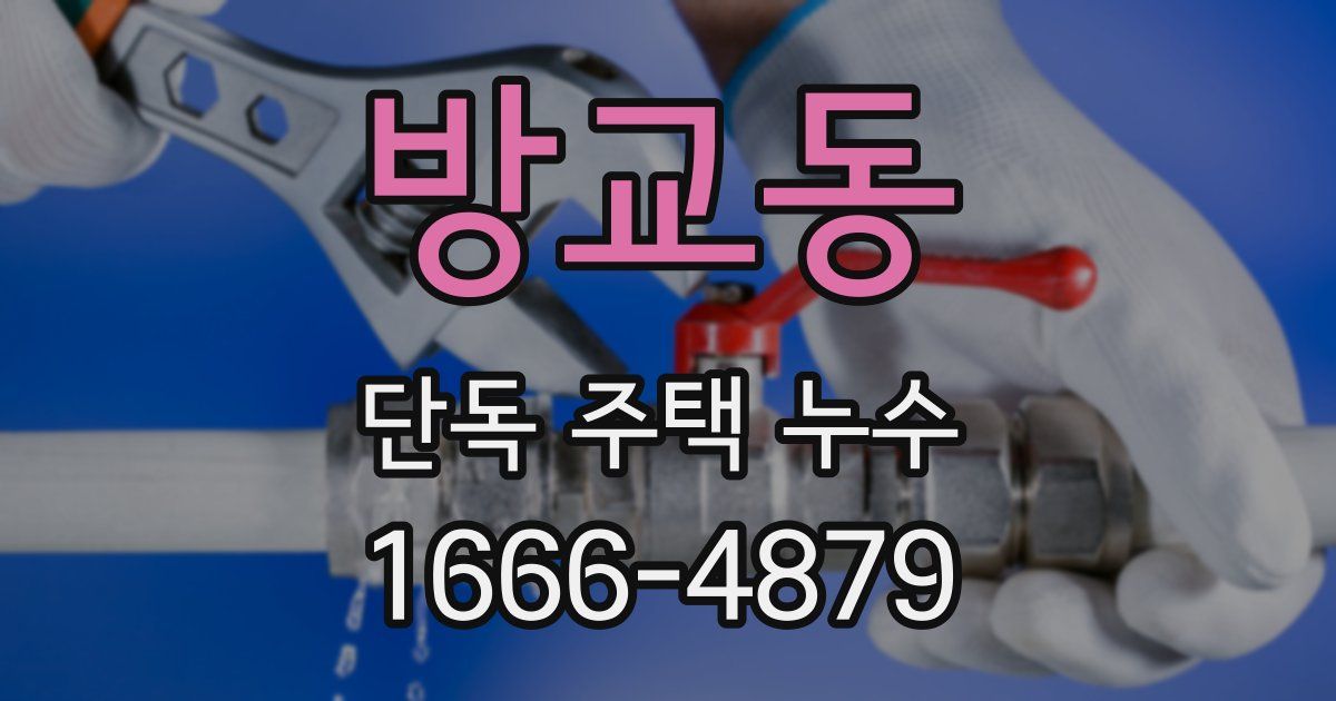 방교동 단독 주택 누수