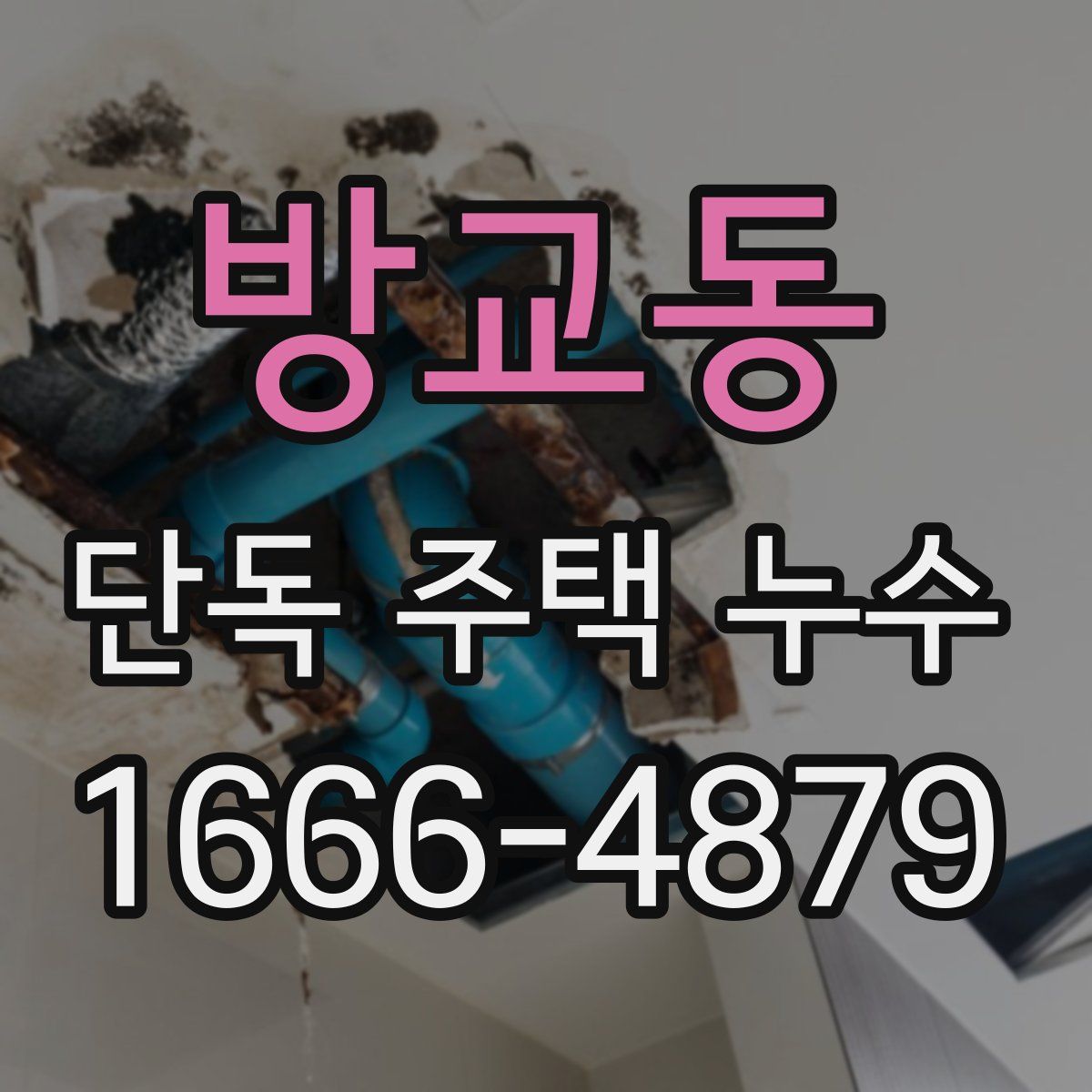 방교동 단독 주택 누수