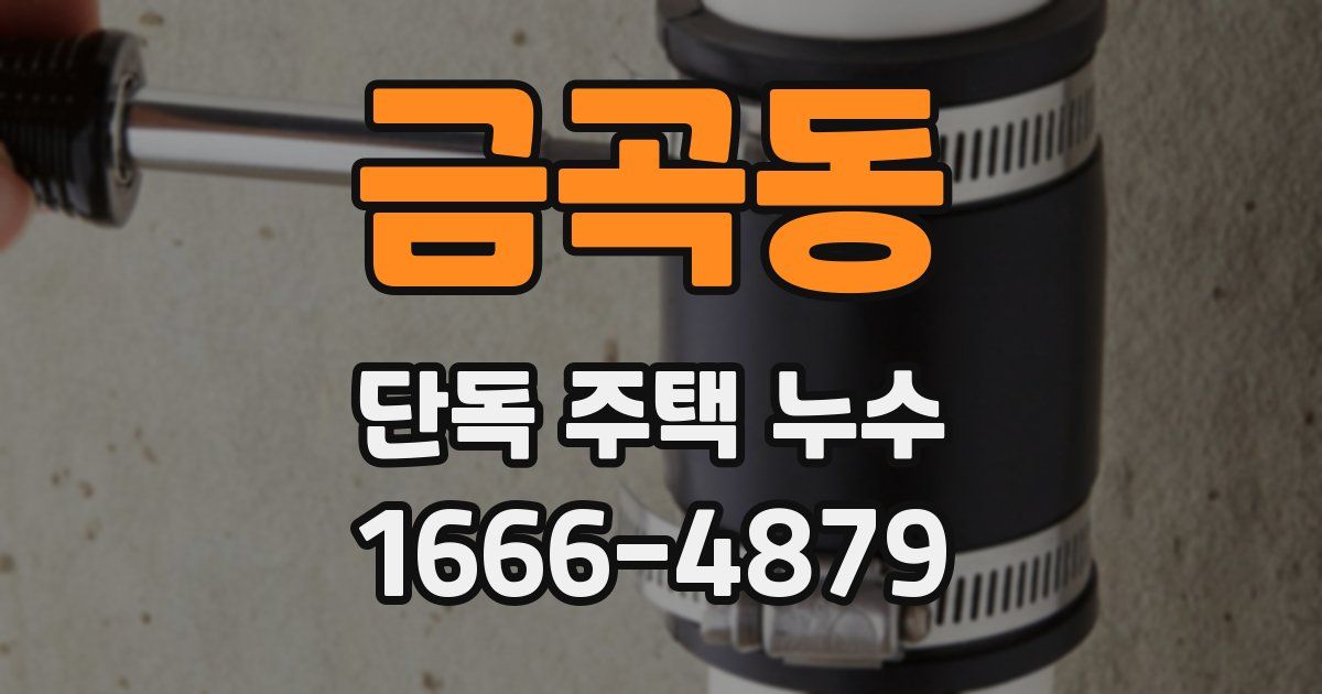 금곡동 단독 주택 누수