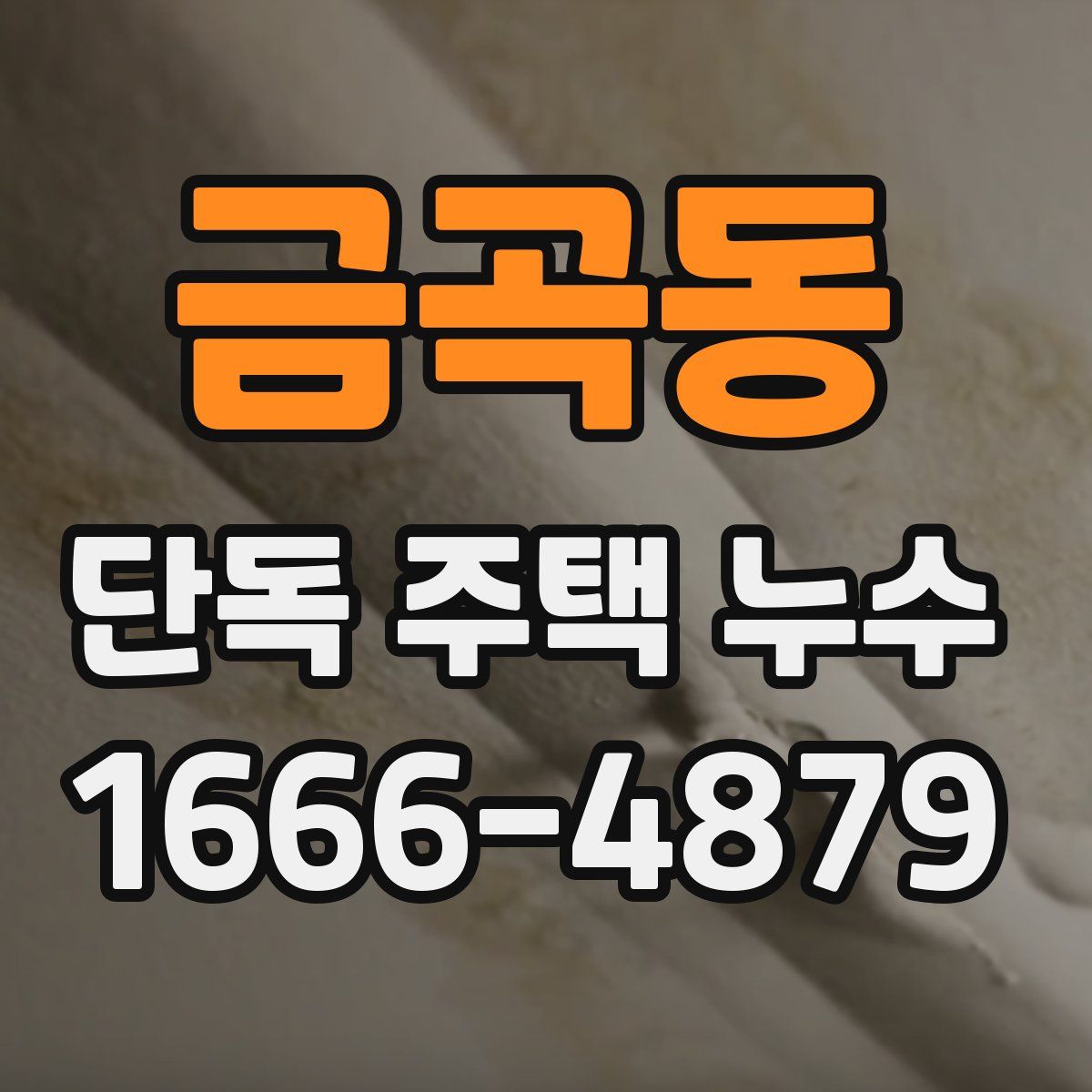 금곡동 단독 주택 누수