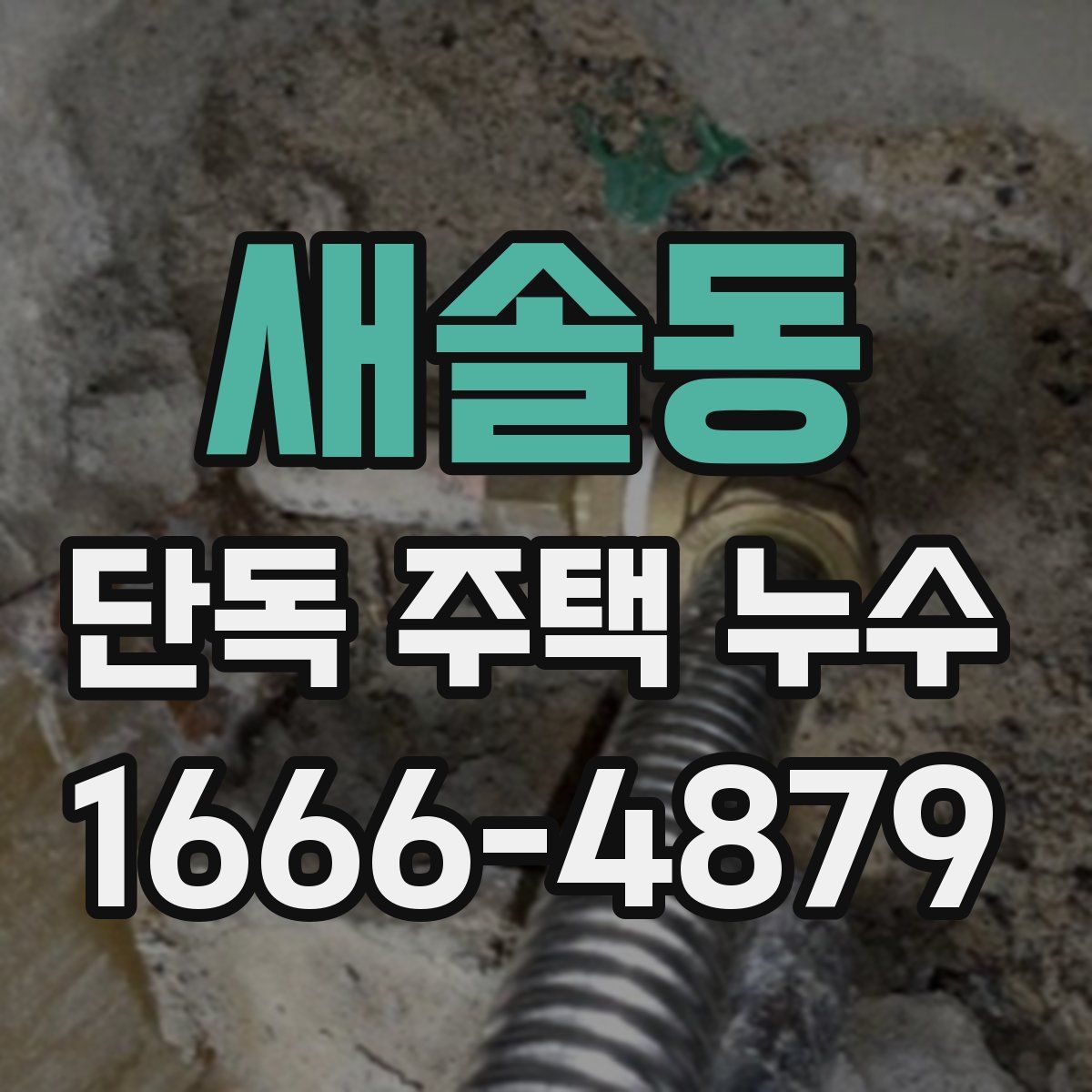 새솔동 단독 주택 누수
