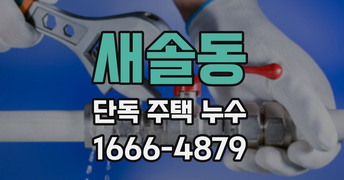 새솔동 단독 주택 누수
