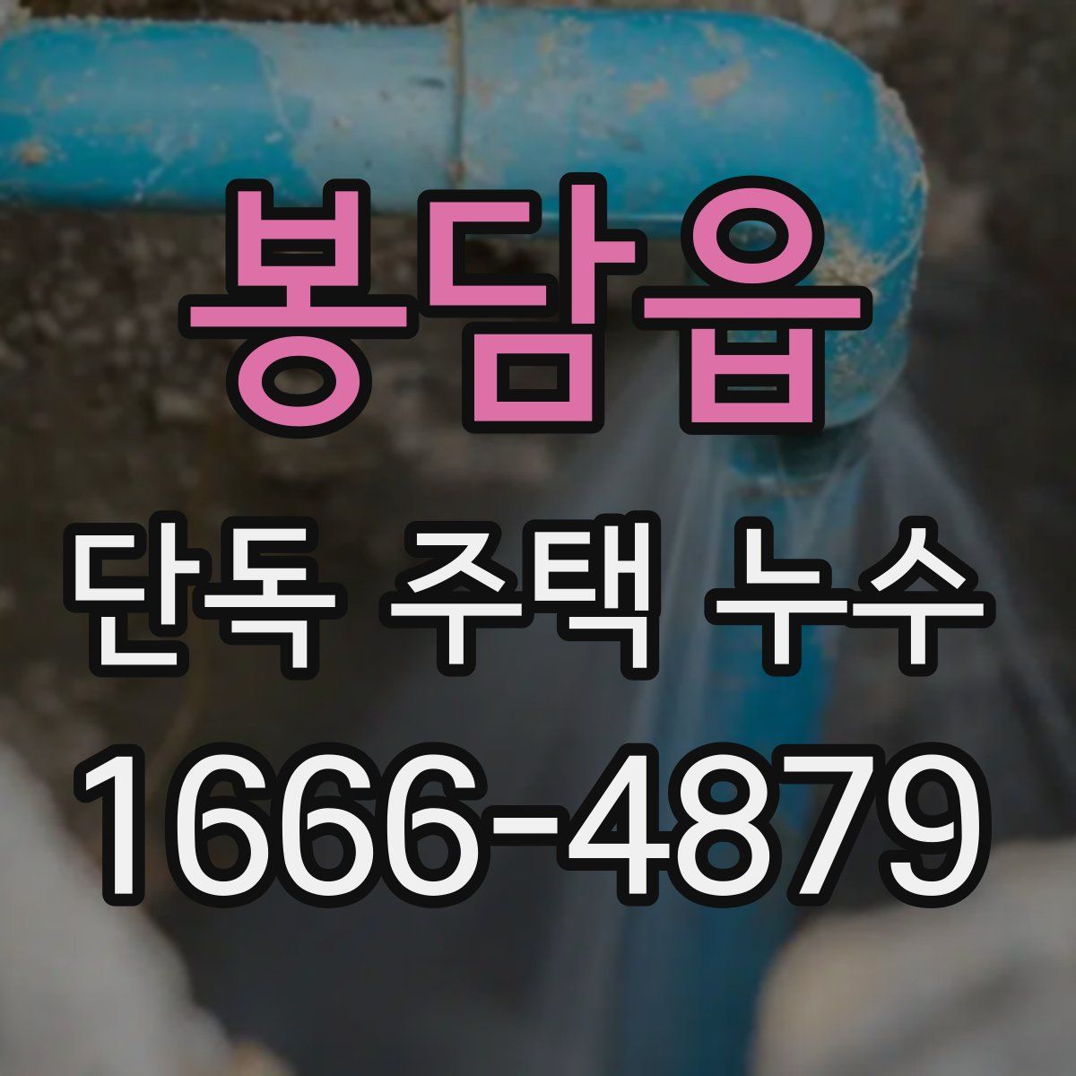 봉담읍 단독 주택 누수