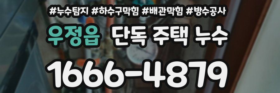 우정읍 단독 주택 누수