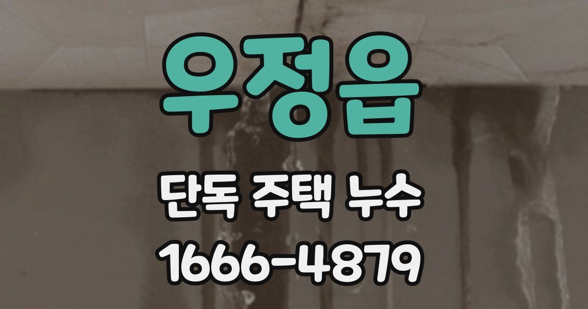 우정읍 단독 주택 누수