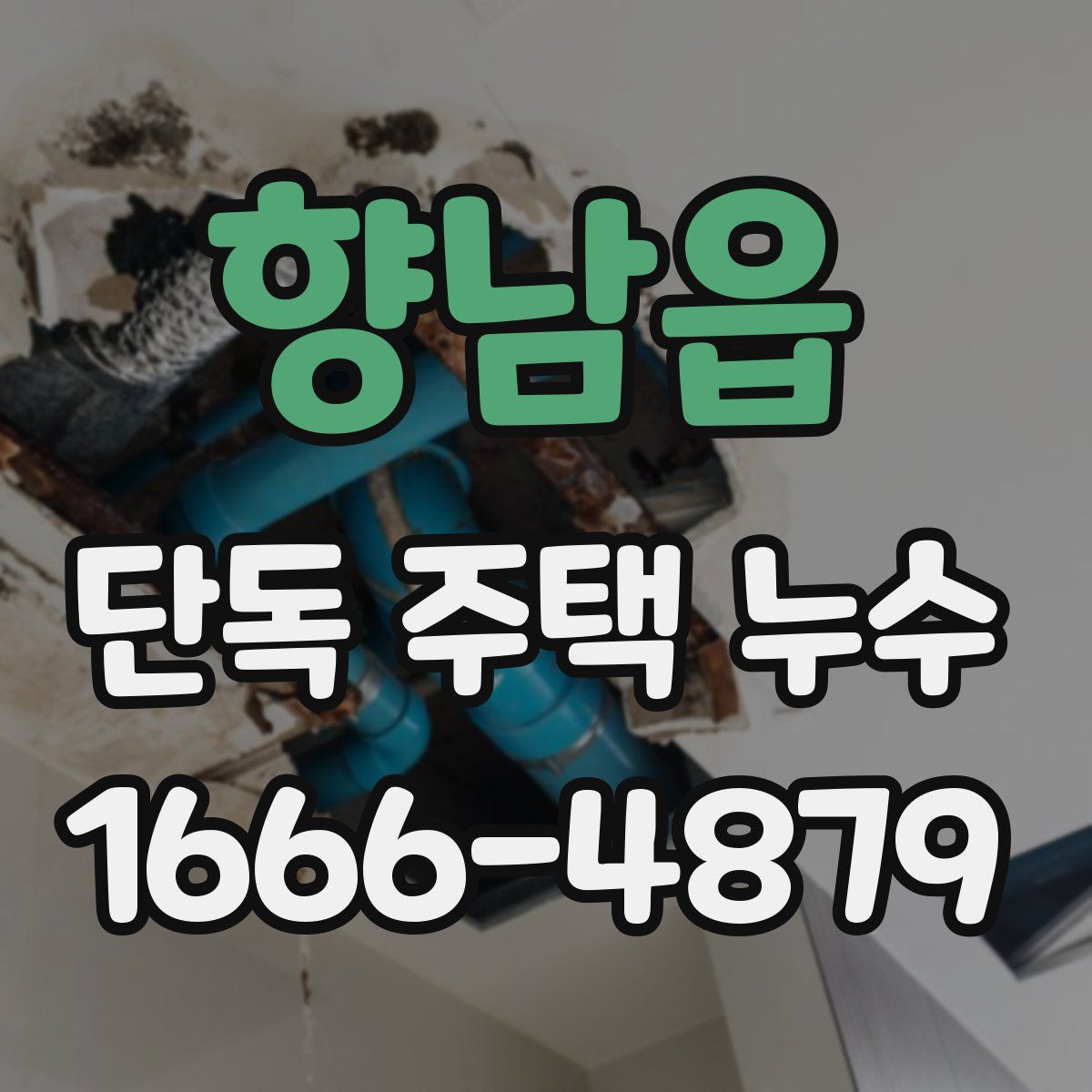 향남읍 단독 주택 누수