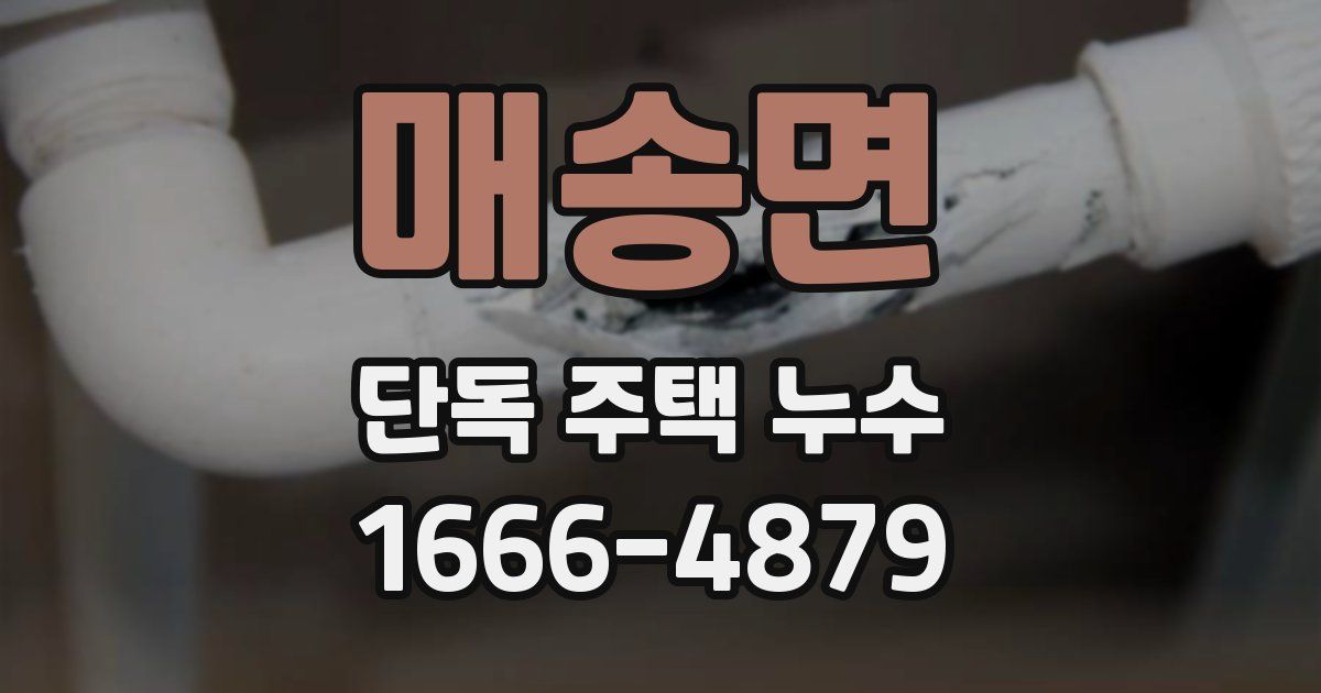 매송면 단독 주택 누수