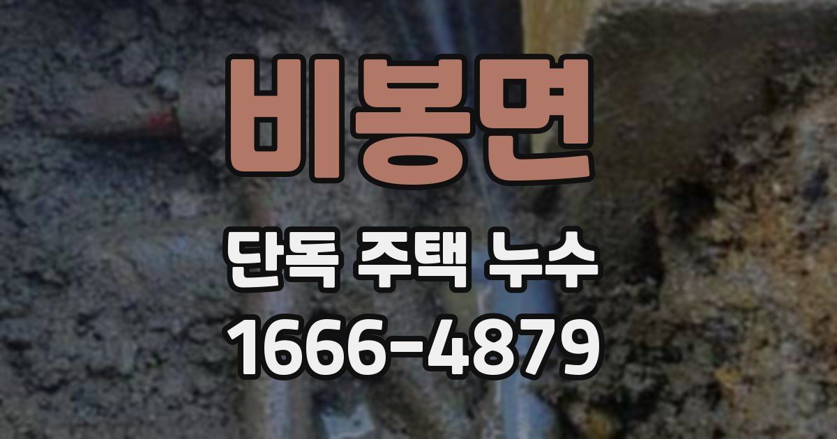 비봉면 단독 주택 누수