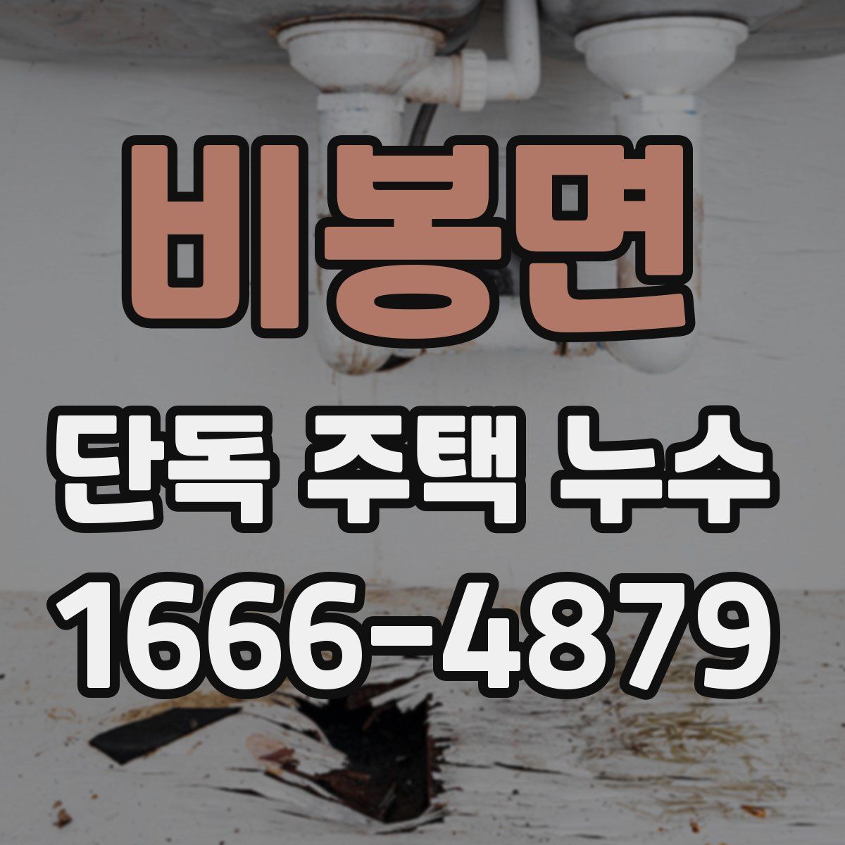 비봉면 단독 주택 누수