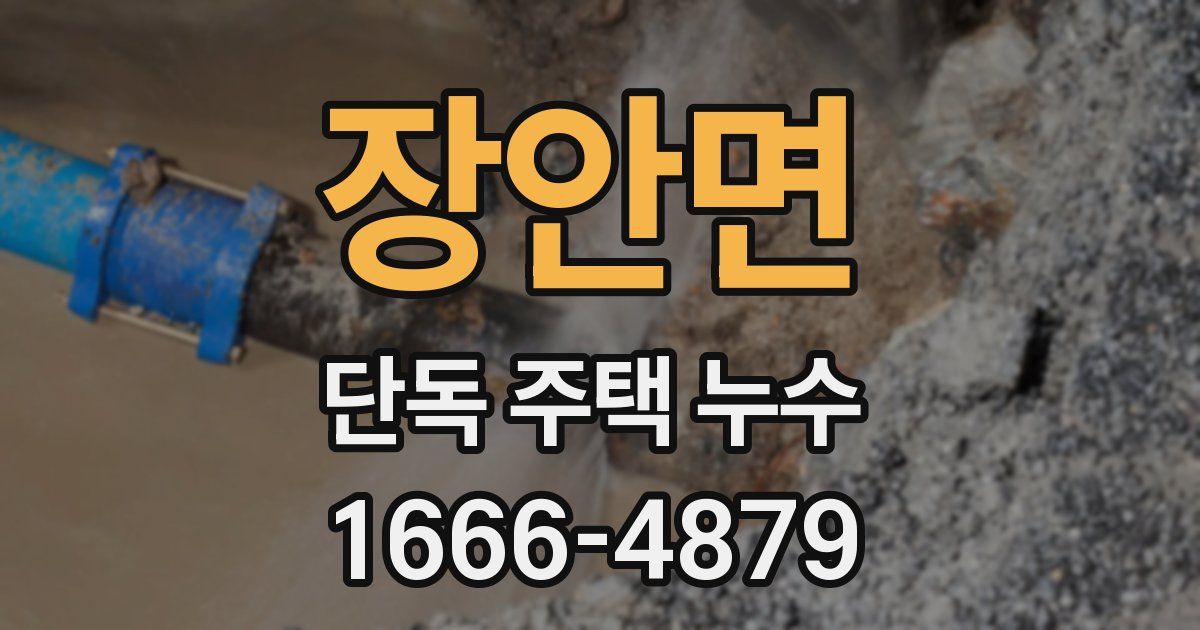 장안면 단독 주택 누수