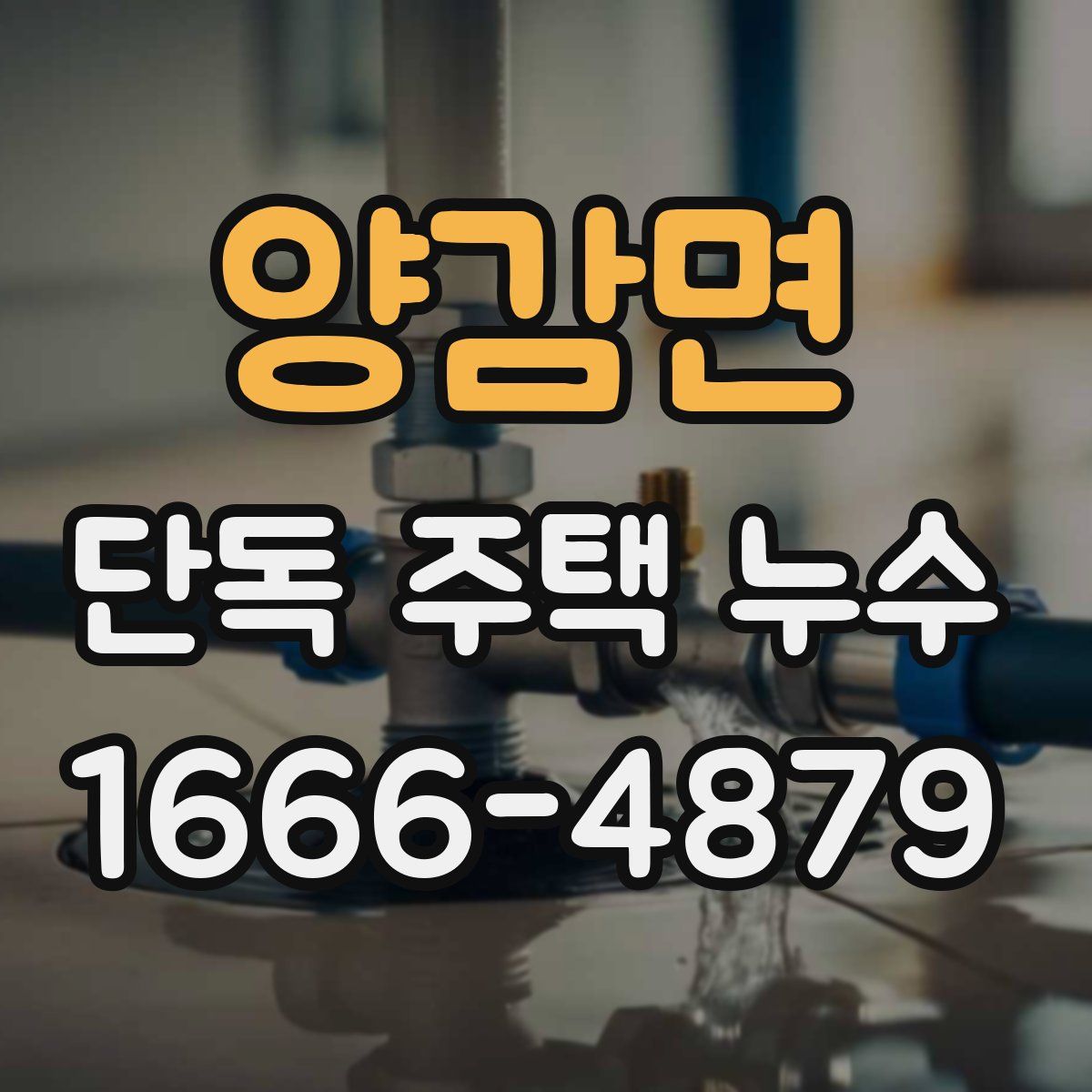 양감면 단독 주택 누수