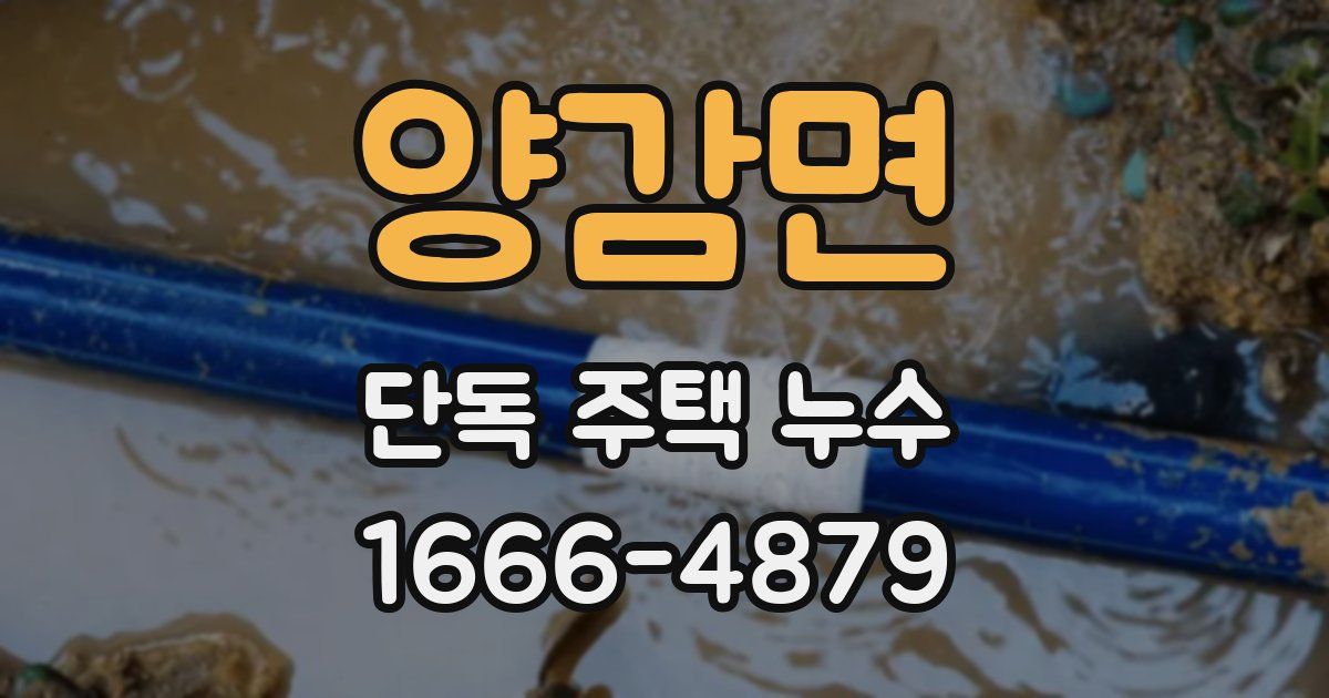 양감면 단독 주택 누수