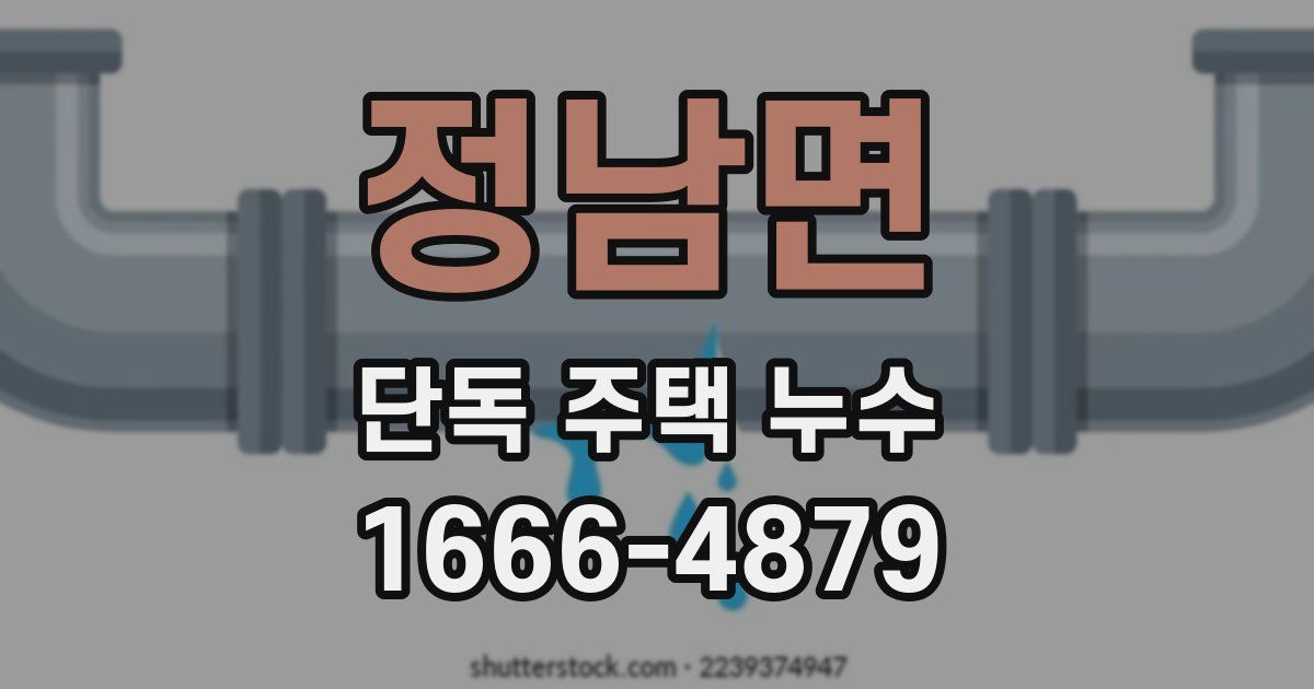 정남면 단독 주택 누수
