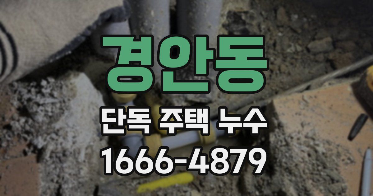 경안동 단독 주택 누수