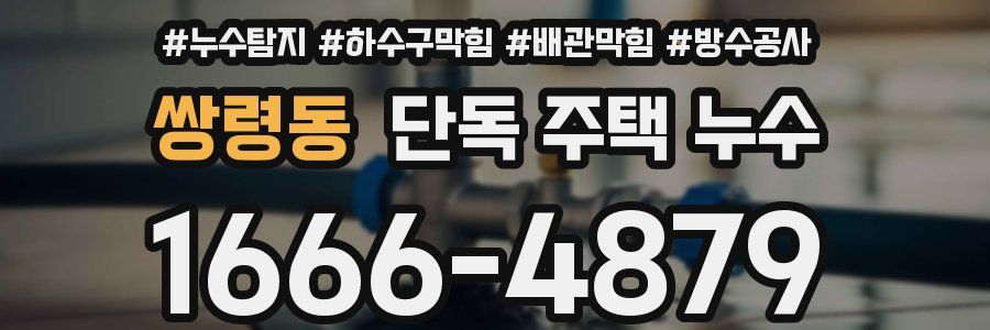 쌍령동 단독 주택 누수