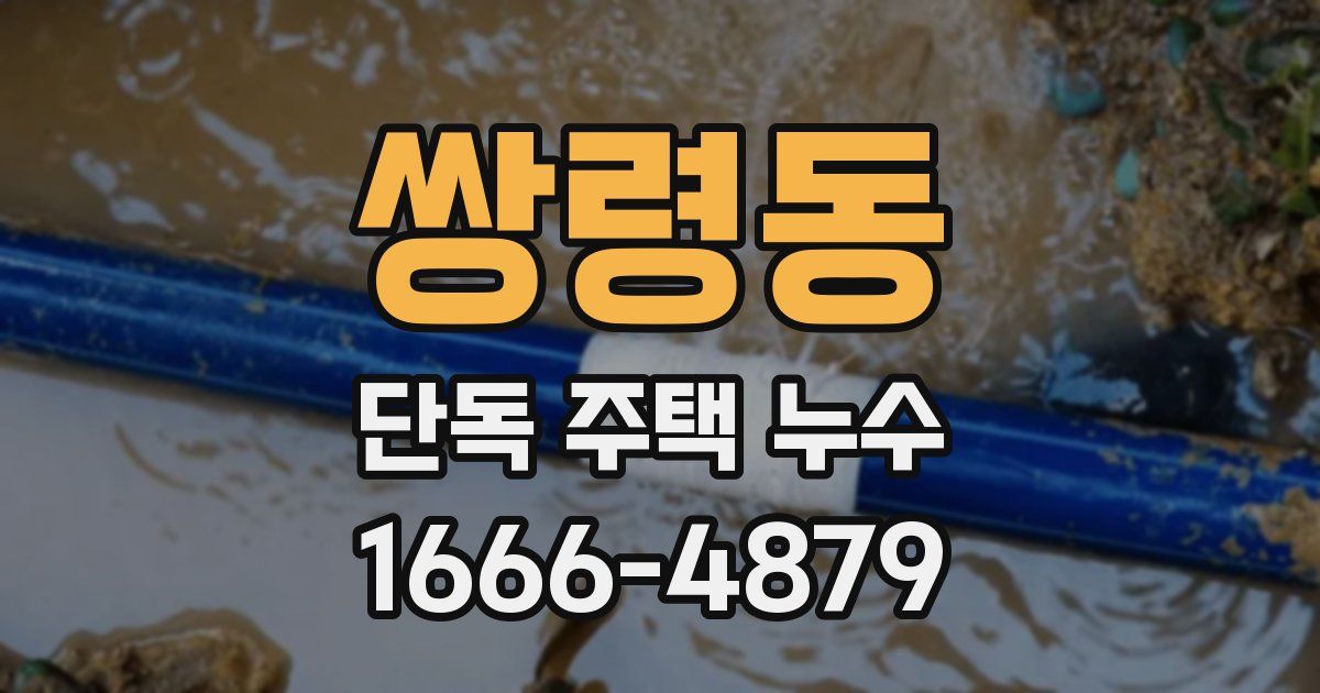 쌍령동 단독 주택 누수
