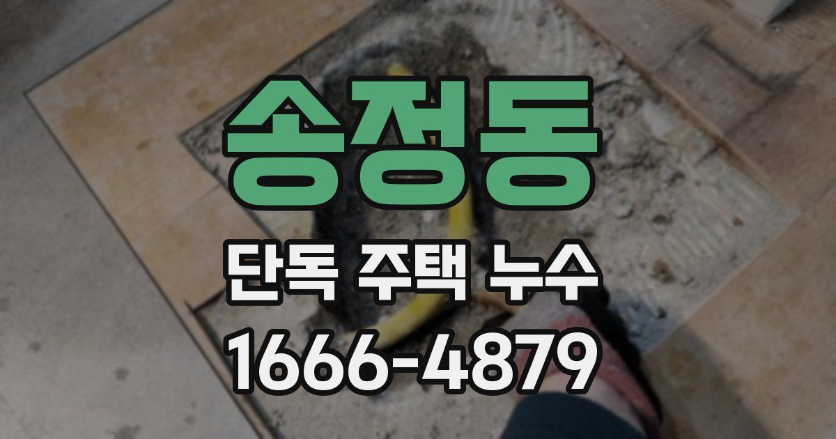 송정동 단독 주택 누수