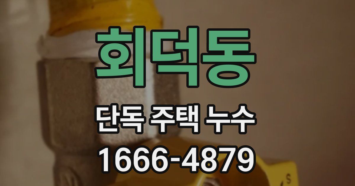 회덕동 단독 주택 누수