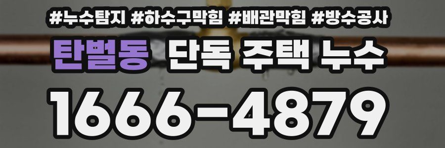 탄벌동 단독 주택 누수
