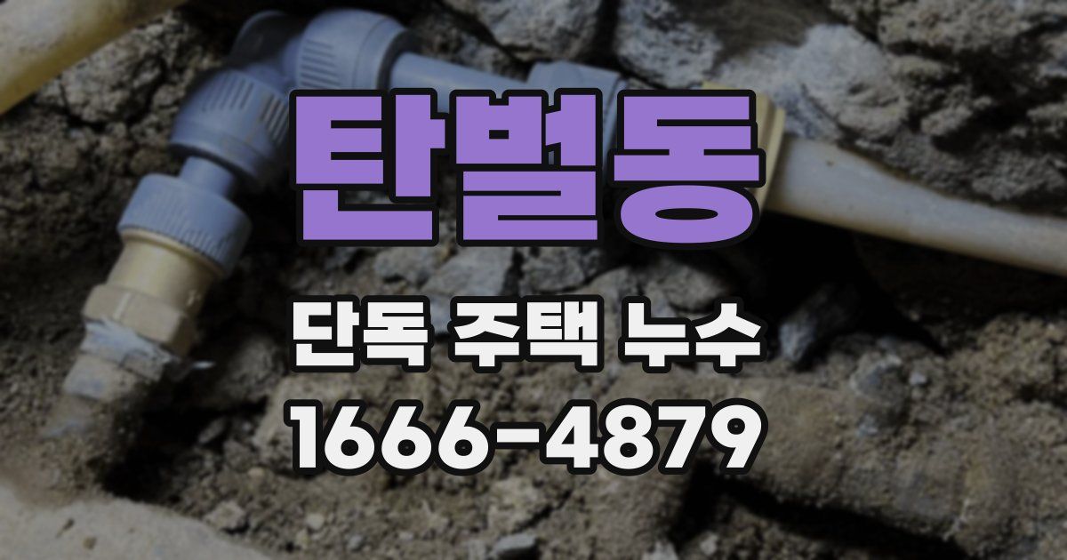 탄벌동 단독 주택 누수