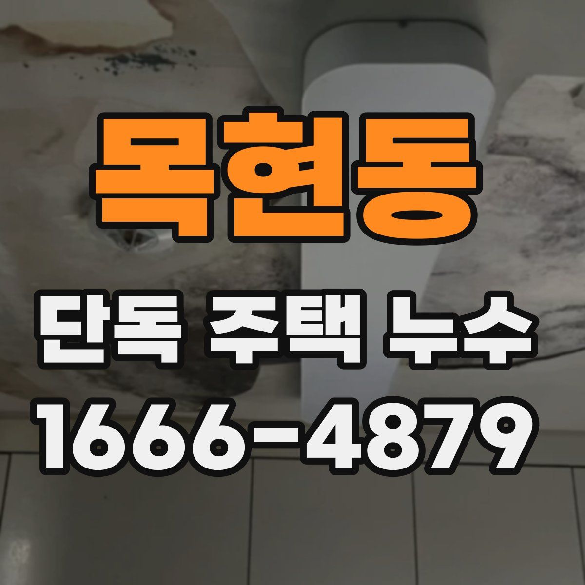 목현동 단독 주택 누수