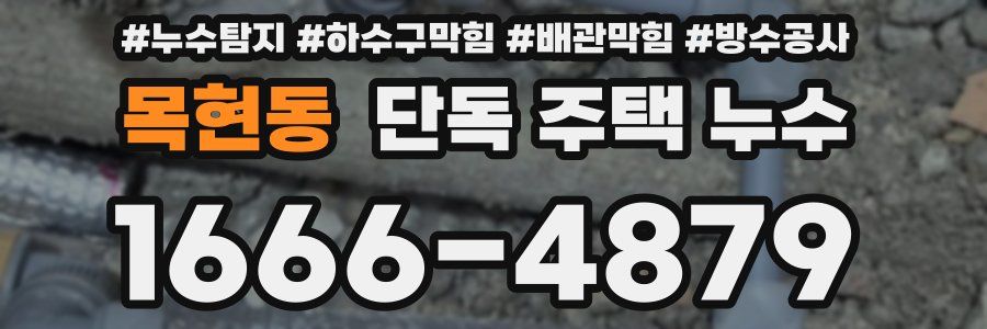 목현동 단독 주택 누수