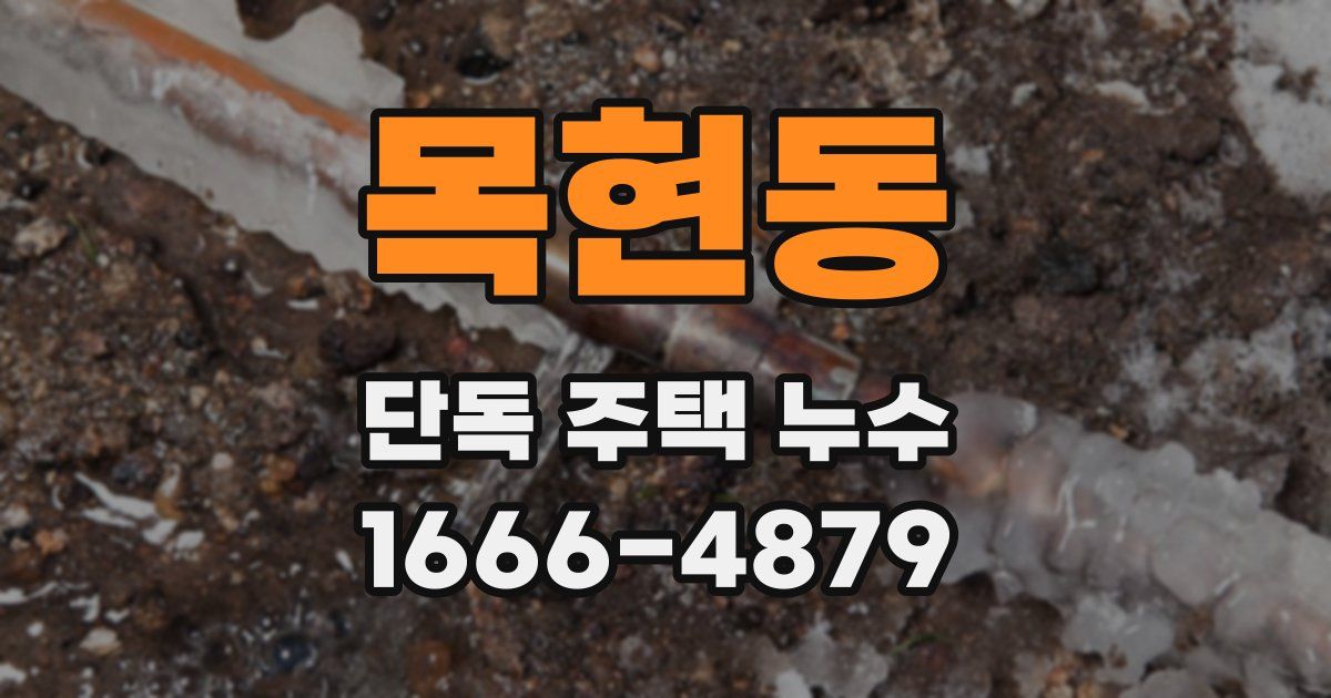 목현동 단독 주택 누수