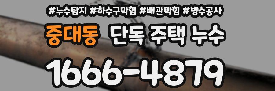 중대동 단독 주택 누수