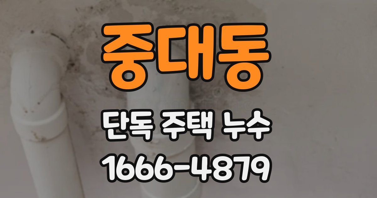 중대동 단독 주택 누수
