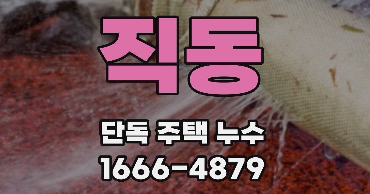 직동 단독 주택 누수