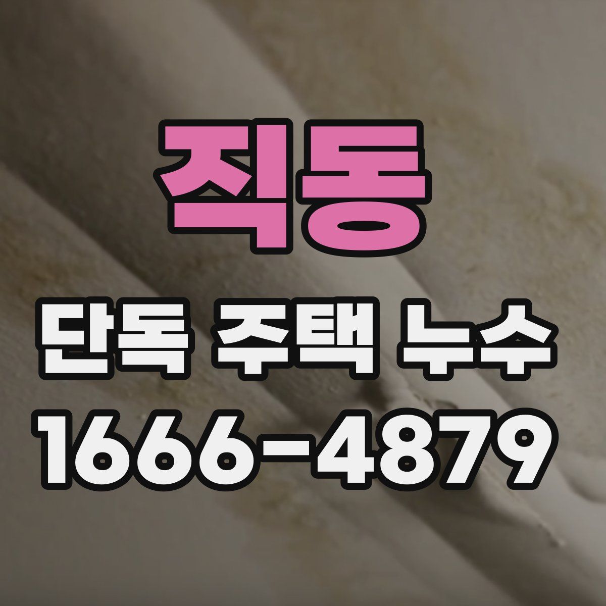 직동 단독 주택 누수