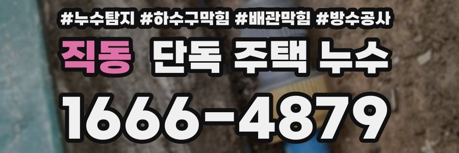 직동 단독 주택 누수