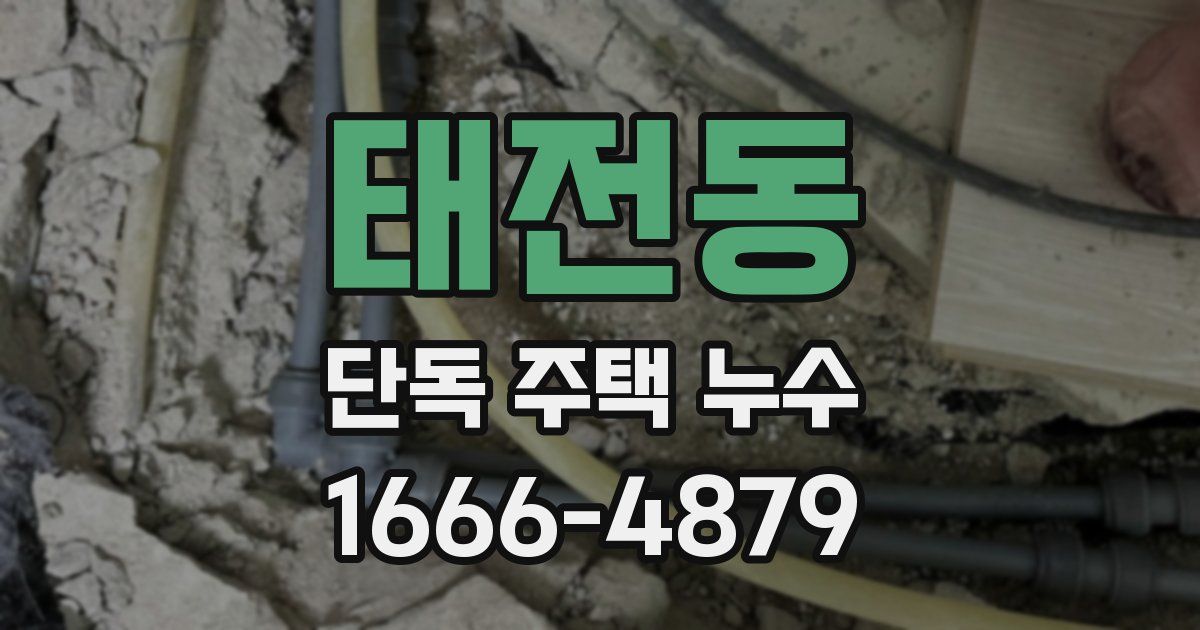 태전동 단독 주택 누수