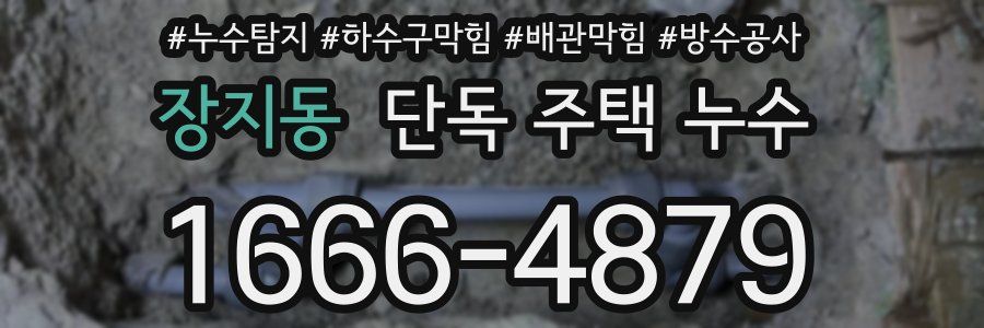 장지동 단독 주택 누수