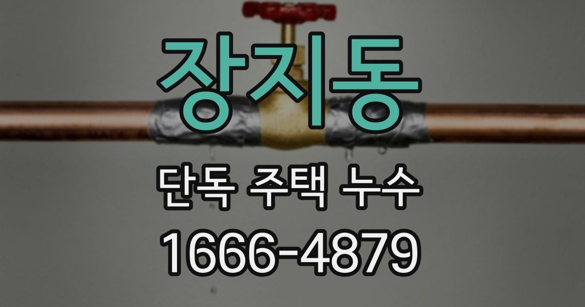 장지동 단독 주택 누수