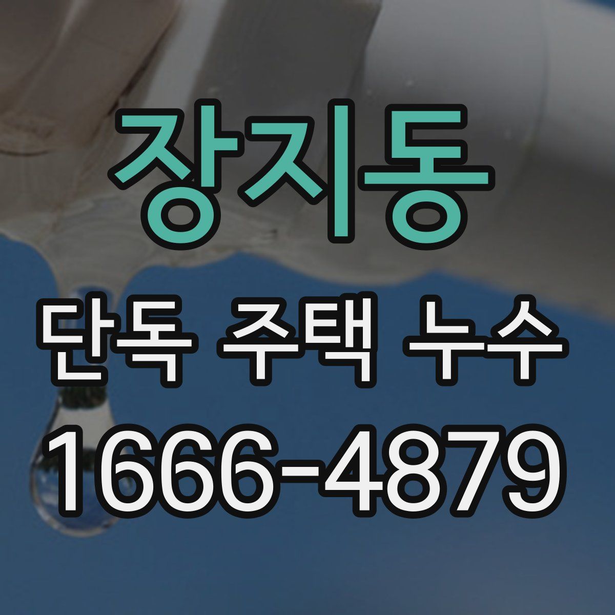 장지동 단독 주택 누수