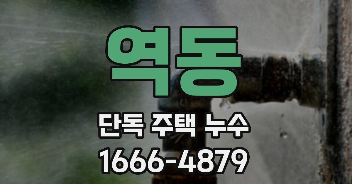 역동 단독 주택 누수