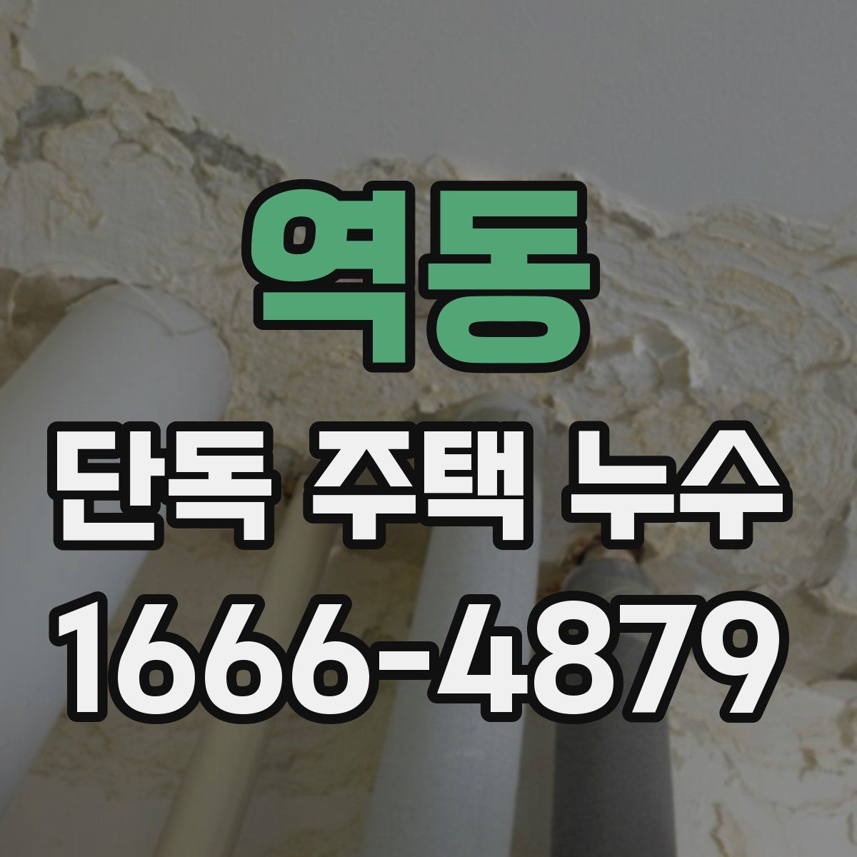 역동 단독 주택 누수