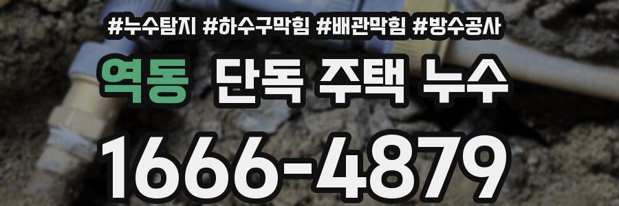 역동 단독 주택 누수
