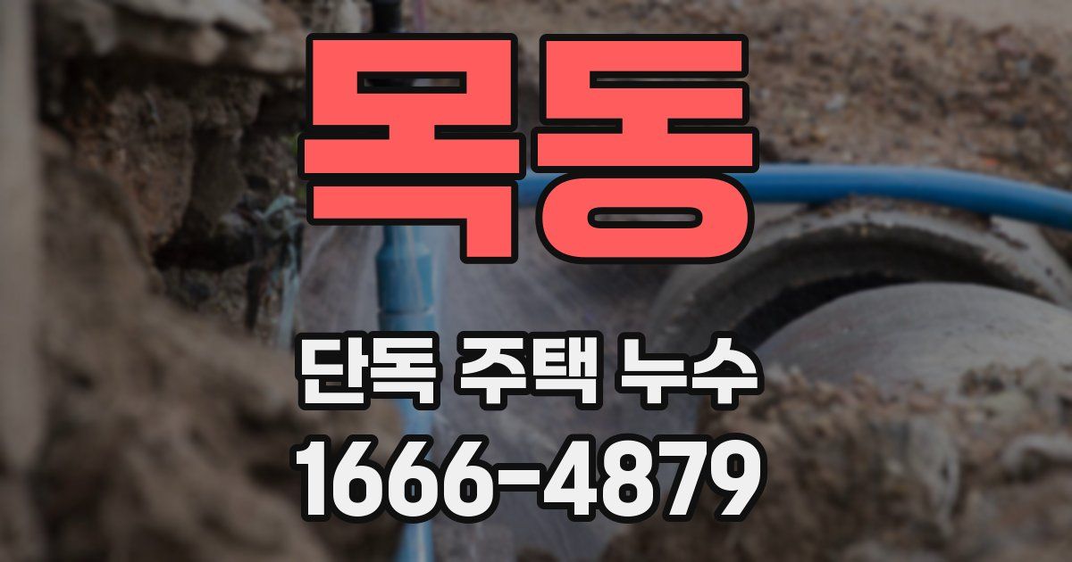 목동 단독 주택 누수