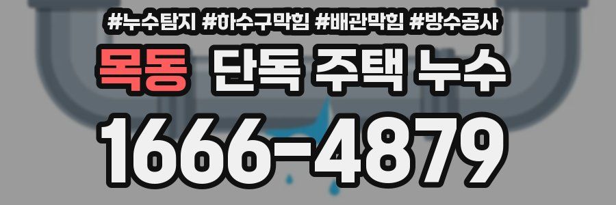 목동 단독 주택 누수