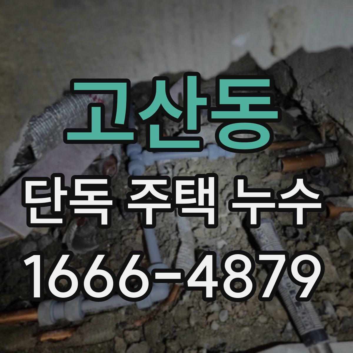고산동 단독 주택 누수