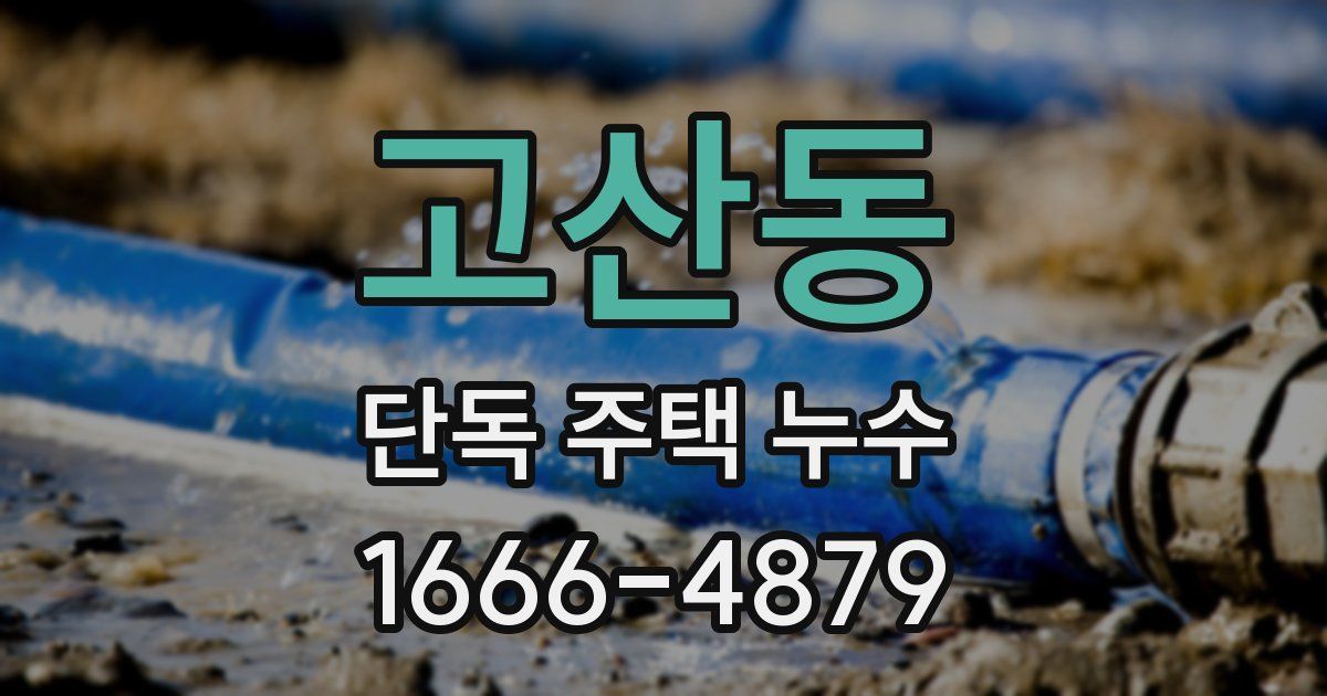 고산동 단독 주택 누수